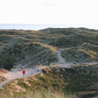 img 6315 jutland steg