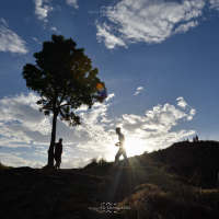 3n4 4188 horton plains