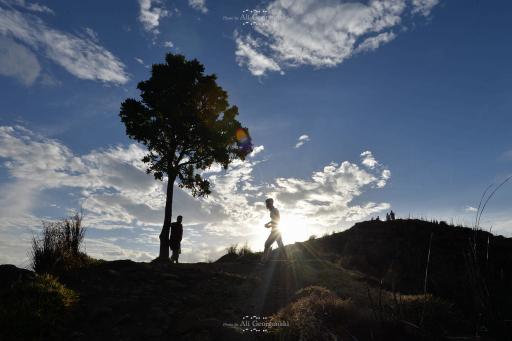 3n4 4188 horton plains