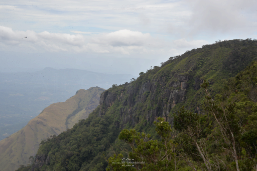 3n4 5287 horton plains