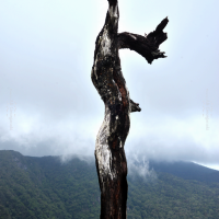 3n4 5331 horton plains