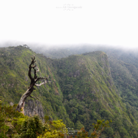 3n4 5342 horton plains