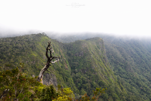 3n4 5342 horton plains