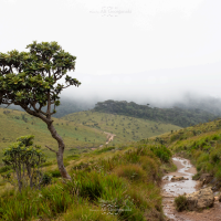 3n4 5429 horton plains