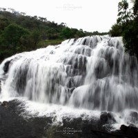 3n4 5543 horton plains
