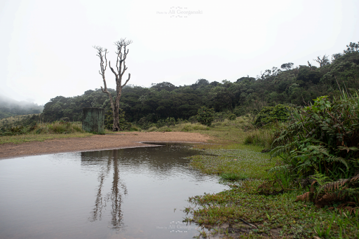 3n4 5565 horton plains