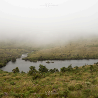 3n4 5589 horton plains