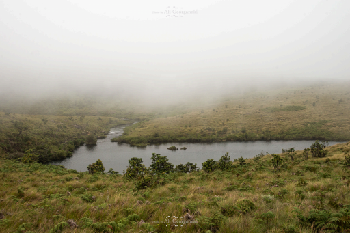 3n4 5589 horton plains