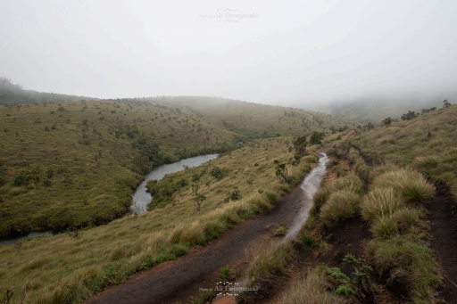 3n4 5598 horton plains