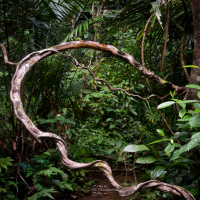 3n4 8053 nature series