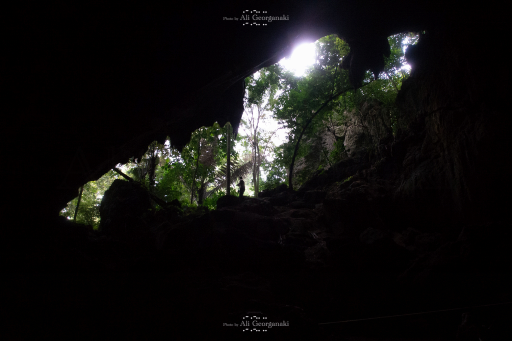 3n4 8069 landscape series taman negara
