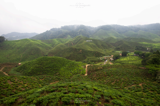 3n4 8414 landscape series malaysia