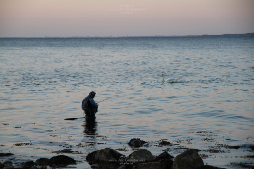 fisherman&swan 2656
