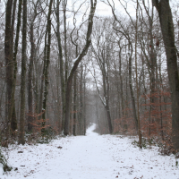 img 3202 winter series